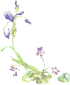 bloem